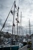 p0181031.jpg - 