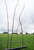 p0183923-1.jpg - 